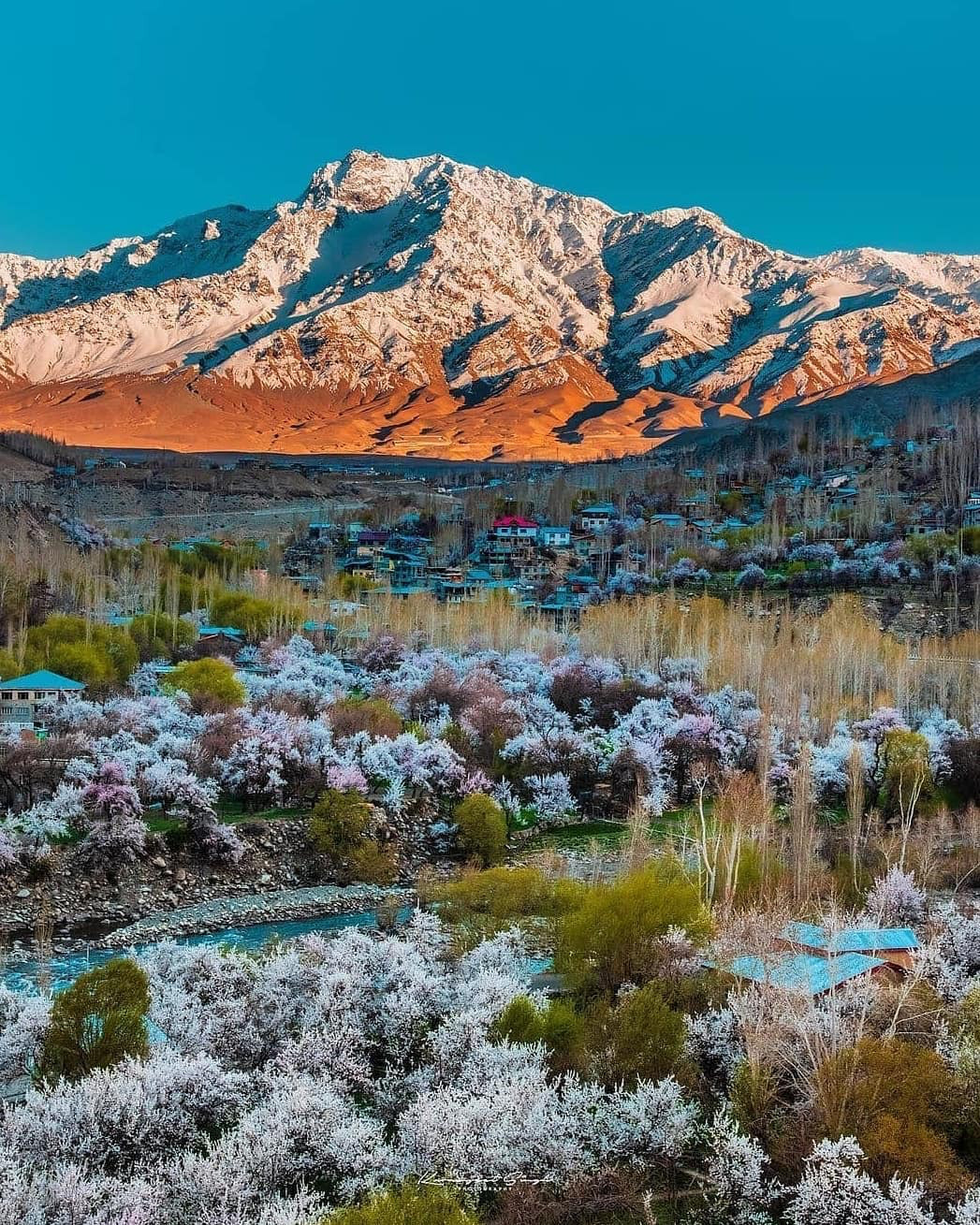 How to Choose the Best Ladakh Tour Package in 2026-27